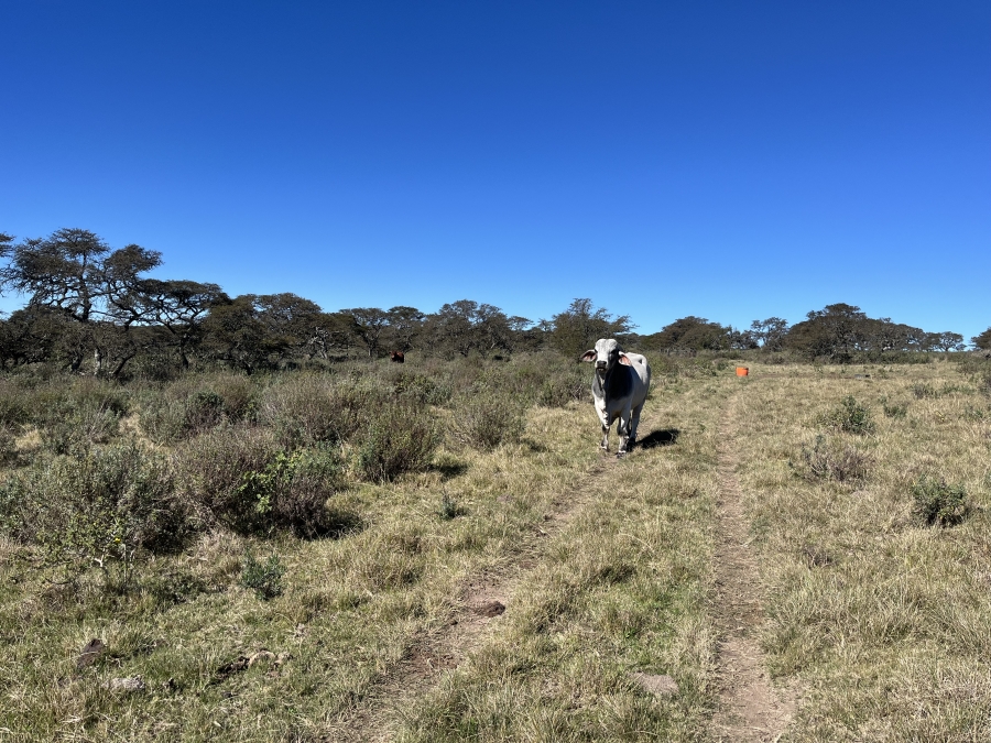0 Bedroom Property for Sale in Stutterheim Rural Eastern Cape